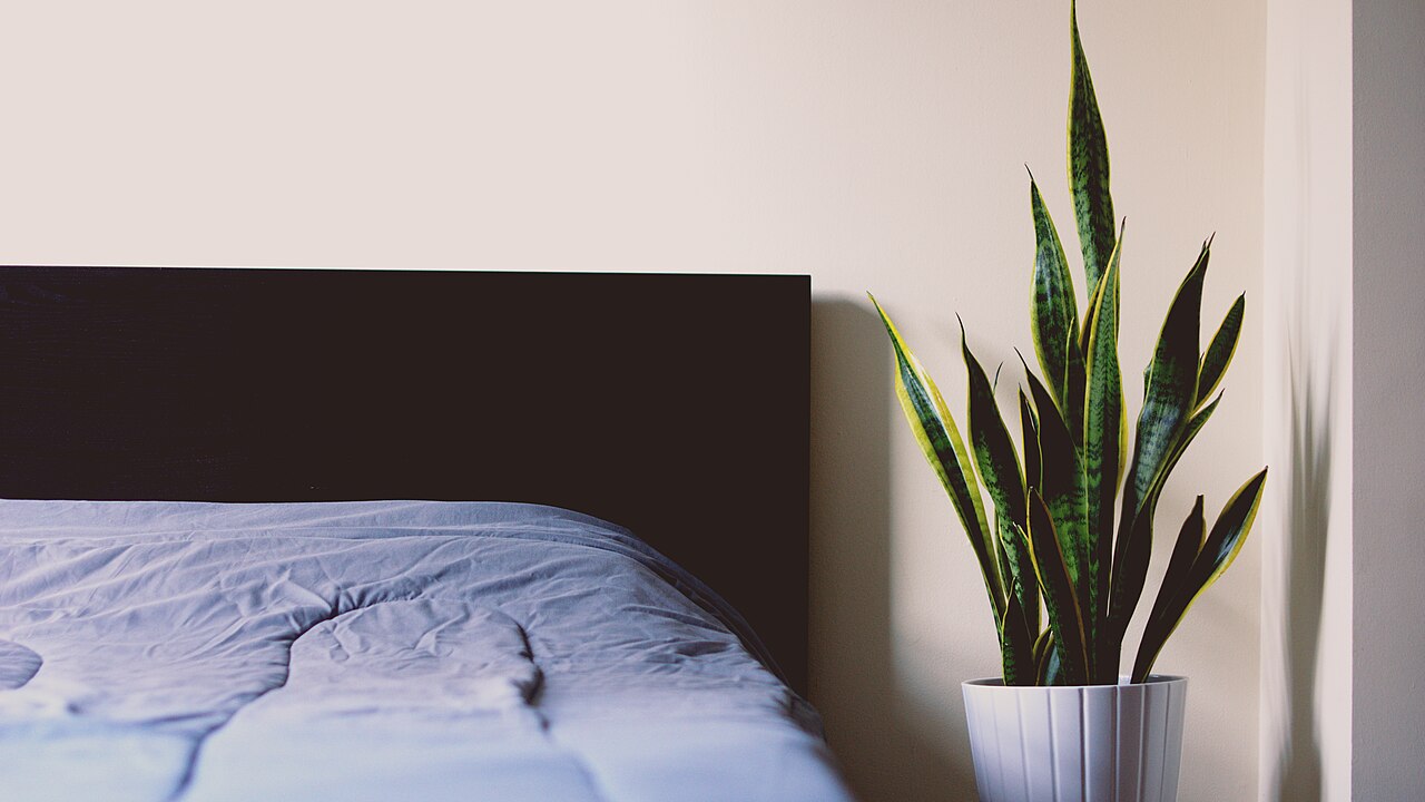 7 Cooling Bedroom Finds for Hot Summer Sleepers