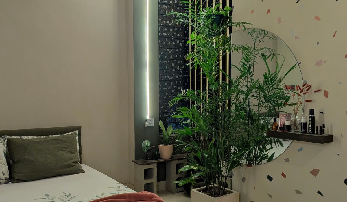 Modern bedroom with ambient lighting and plants